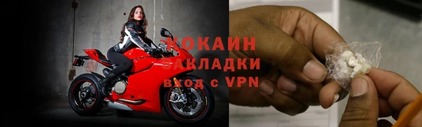 индика Семикаракорск