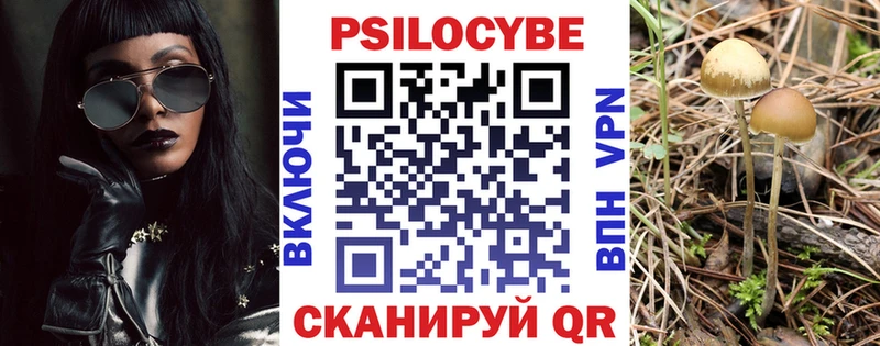 Псилоцибиновые грибы прущие грибы  Озёры 